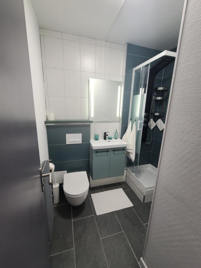 Magnifique Studio 26M2 Belfort Ngoại thất bức ảnh